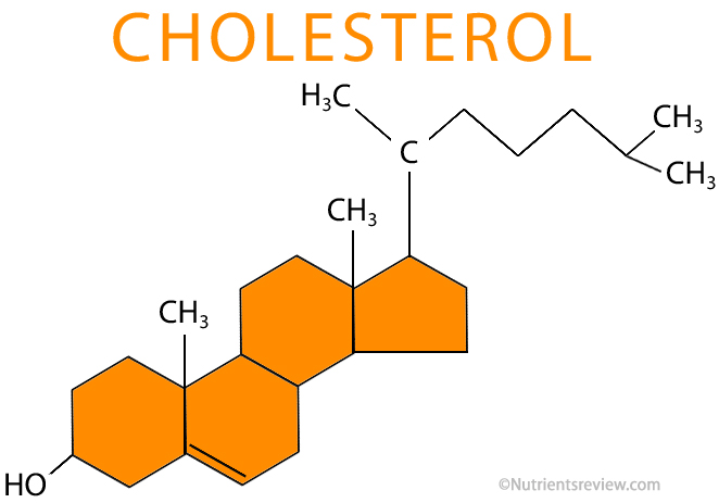 Cholesterol